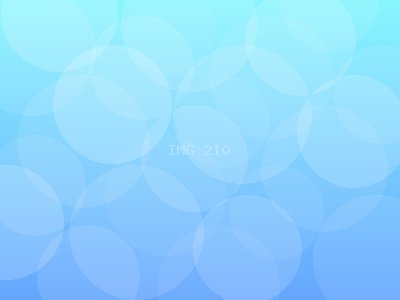 华盛农业科技有限公司分享：苗木培育常见问题解答
